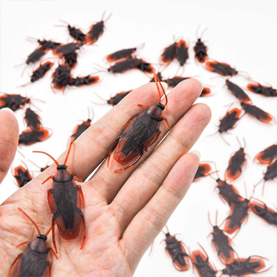 A bunch of fake roaches that look real are displayed on a person's hand .
